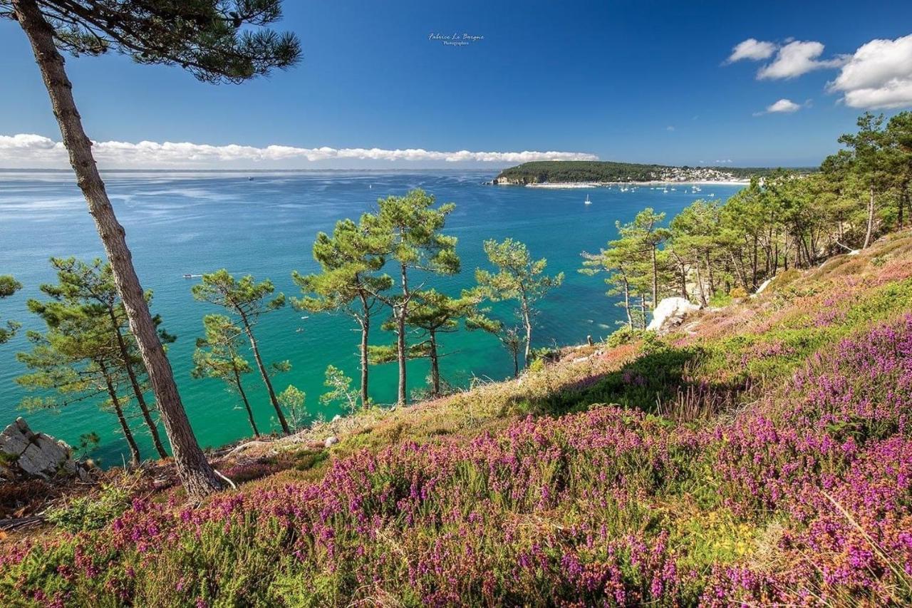Appartement Cosy Les Pieds Dans L'Eau, Vue Mer Exceptionnelle 卡松 外观 照片